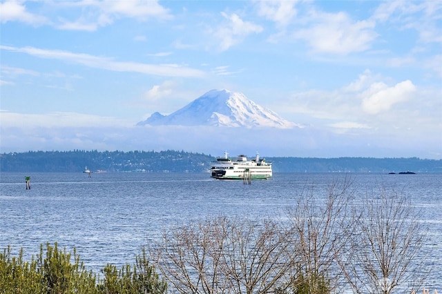 1237 Hawley Way NE, Bainbridge Island, WA 98110 - water view