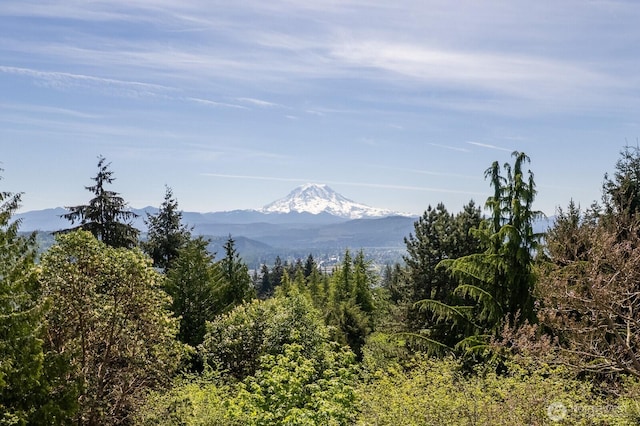 14608 136th Ave E, Puyallup, WA 98374 - photo 2
