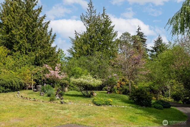 14608 136th Ave E, Puyallup, WA 98374 - photo 37
