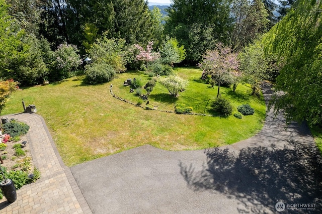 14608 136th Ave E, Puyallup, WA 98374 - photo 39