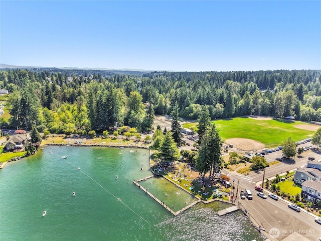 20315 79th St E, Bonney Lake, WA 98391 - photo 39