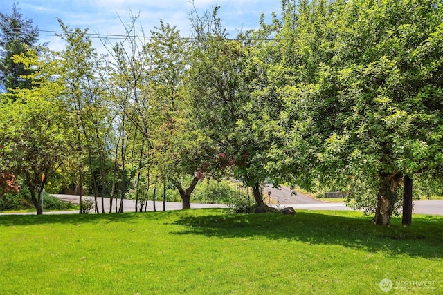 303 NE 133rd St, Seattle, WA 98125 - view of community featuring a lawn