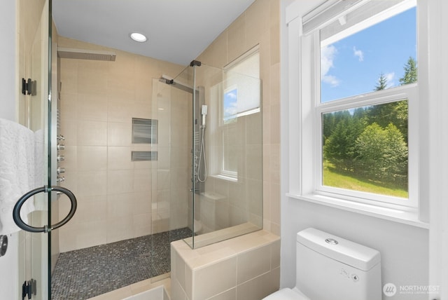 5675 E Hillcrest Dr, Port Orchard, WA 98366 - bathroom with a stall shower, plenty of natural light, toilet, and recessed lighting