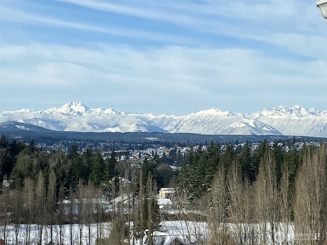 5675 E Hillcrest Dr, Port Orchard, WA 98366 - view of mountain backdrop with a forest