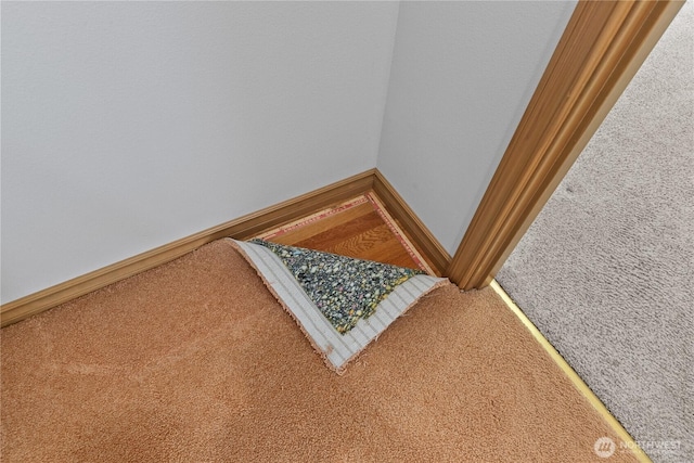 509 Clover Ln, Bellingham, WA 98226 - detailed view of carpet