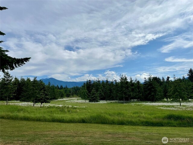 145 Emery Ln, Port Angeles, WA 98362 - photo 9