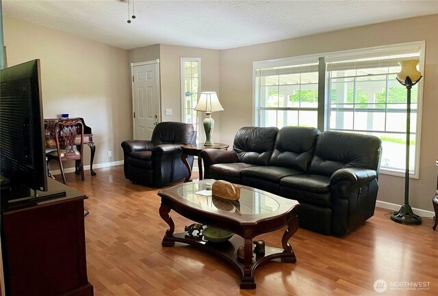 145 Emery Ln, Port Angeles, WA 98362 - photo 27