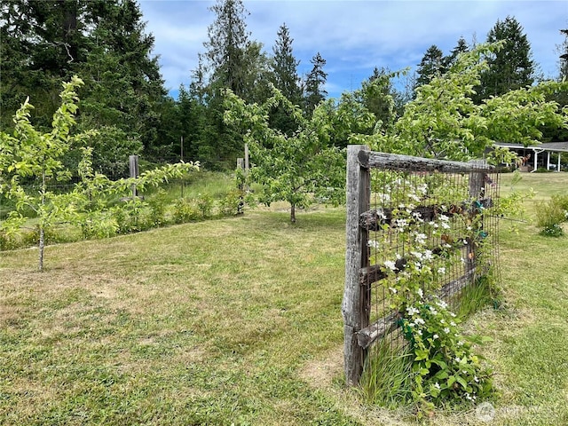 145 Emery Ln, Port Angeles, WA 98362 - photo 22