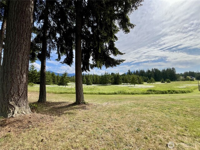 145 Emery Ln, Port Angeles, WA 98362 - photo 10