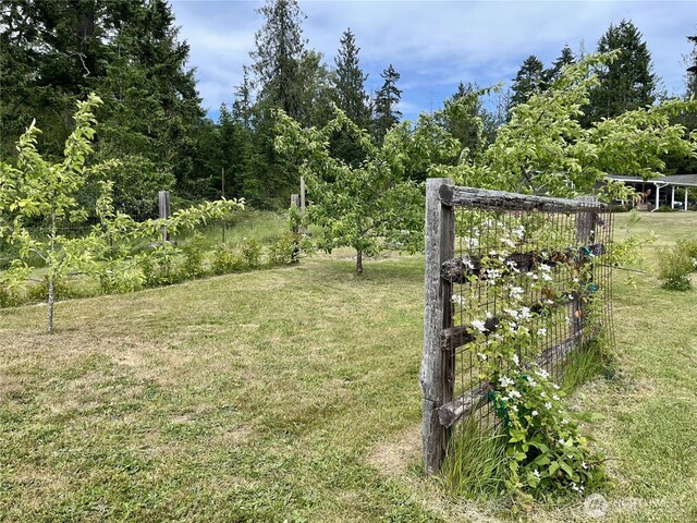 145 Emery Ln, Port Angeles, WA 98362 - photo 21