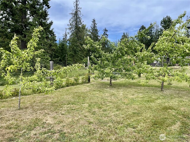 145 Emery Ln, Port Angeles, WA 98362 - photo 23