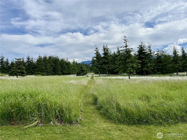 145 Emery Ln, Port Angeles, WA 98362 - photo 11