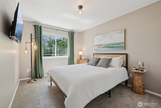 27716 NE 30th St, Redmond, WA 98053 - bedroom featuring carpet and baseboards