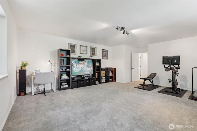 27716 NE 30th St, Redmond, WA 98053 - workout room featuring carpet, baseboards, and track lighting