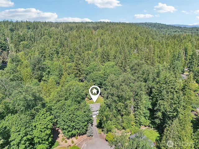 27716 NE 30th St, Redmond, WA 98053 - aerial view of a forest