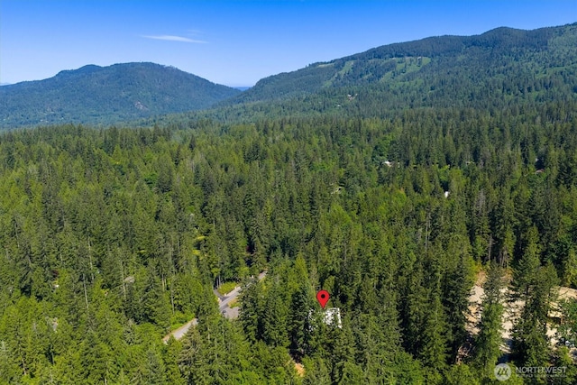 26222 SE 152nd St, Issaquah, WA 98027 - photo 4