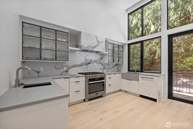 204 Northside Rd, Bellevue, WA 98004 - kitchen featuring a sink, appliances with stainless steel finishes, premium range hood, decorative backsplash, and modern cabinets