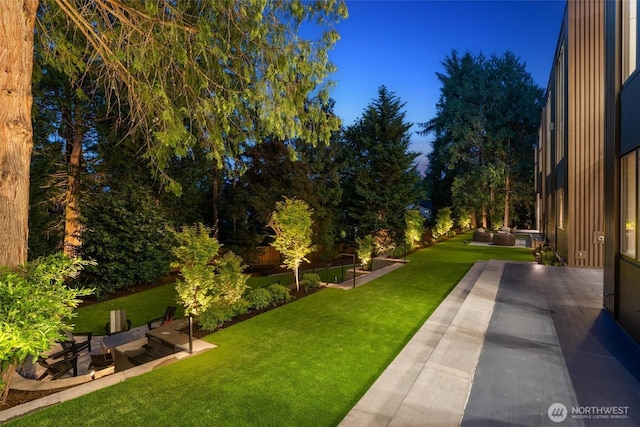 204 Northside Rd, Bellevue, WA 98004 - view of green lawn with a patio area