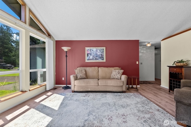 11726 130th Avenue Ct E, Puyallup, WA 98374 - living area featuring a textured ceiling, healthy amount of natural light, wood finished floors, and baseboards