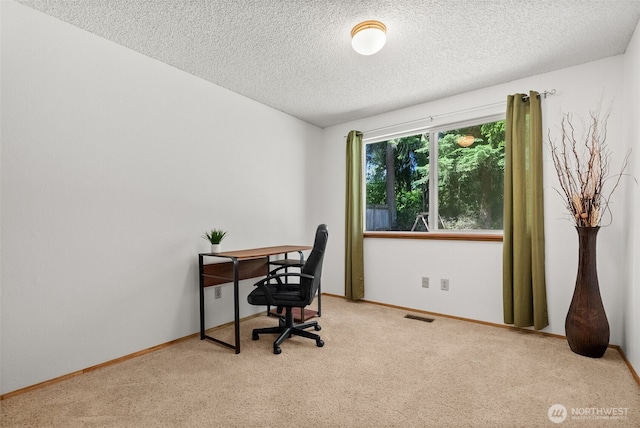 11726 130th Avenue Ct E, Puyallup, WA 98374 - office space with carpet flooring, a textured ceiling, and baseboards