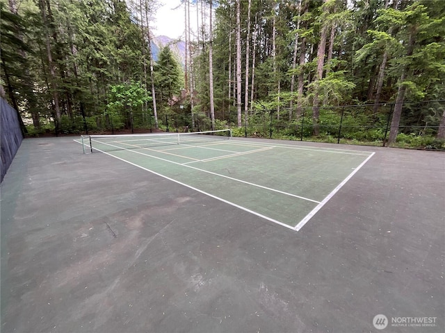 10500 Mt Baker Hwy Unit 1003, Glacier, WA 98244 - view of tennis court with community basketball court and a wooded view