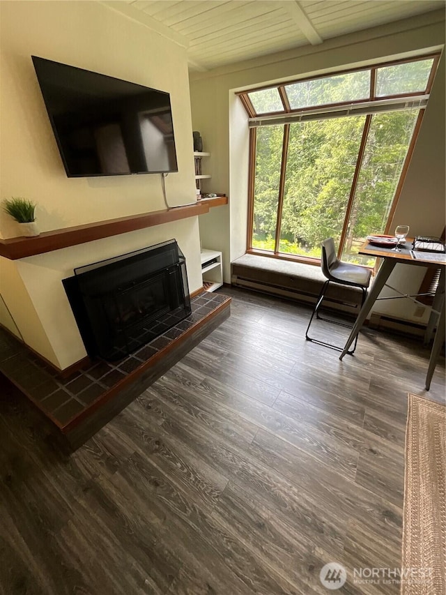 10500 Mt Baker Hwy Unit 1003, Glacier, WA 98244 - living room featuring wood finished floors, a fireplace, and wood ceiling