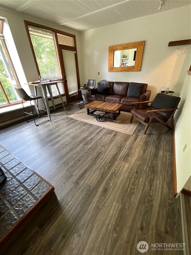 10500 Mt Baker Hwy Unit 1003, Glacier, WA 98244 - living area with wood finished floors