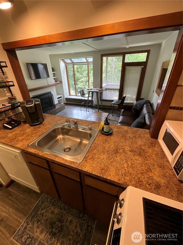 10500 Mt Baker Hwy Unit 1003, Glacier, WA 98244 - kitchen with a sink, open floor plan, dark wood-type flooring, white microwave, and a fireplace