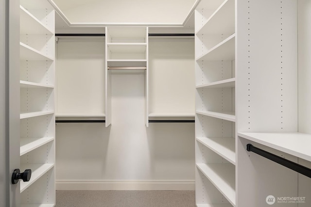 6707 117th Ave NE, Kirkland, WA 98033 - view of spacious closet