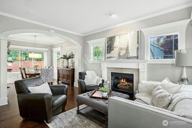 23510 14th Dr SE, Bothell, WA 98021 - living area with arched walkways, dark wood-style floors, a glass covered fireplace, crown molding, and ornate columns