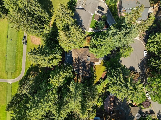 2911 216th Ave NE, Sammamish, WA 98074 - aerial view