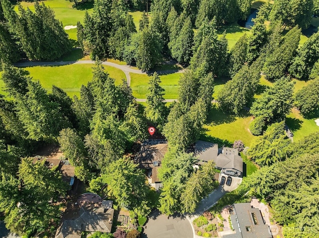 2911 216th Ave NE, Sammamish, WA 98074 - aerial view