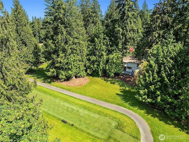 2911 216th Ave NE, Sammamish, WA 98074 - drone / aerial view