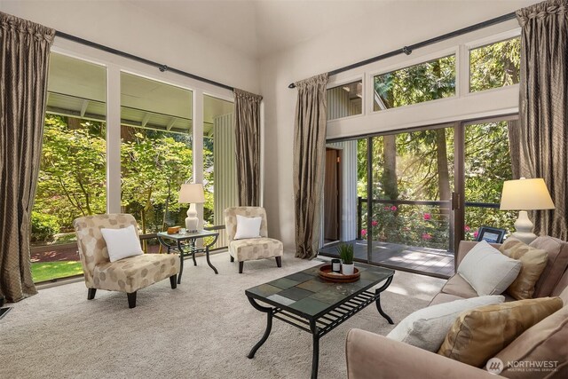 2911 216th Ave NE, Sammamish, WA 98074 - carpeted living area with a towering ceiling