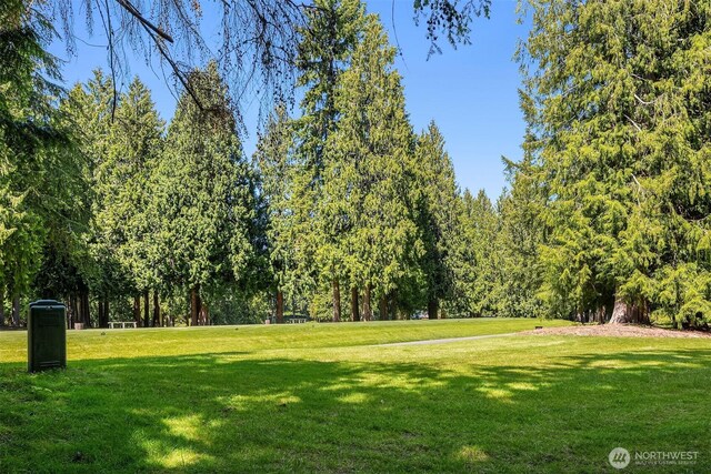 2911 216th Ave NE, Sammamish, WA 98074 - view of community with a lawn