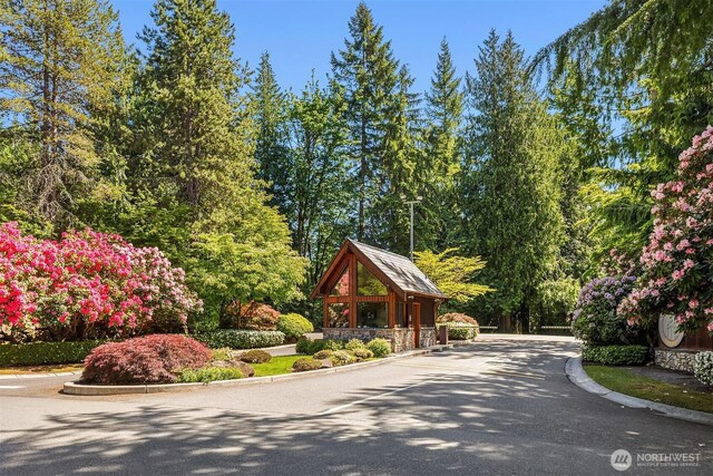 2911 216th Ave NE, Sammamish, WA 98074 - view of asphalt road with curbs