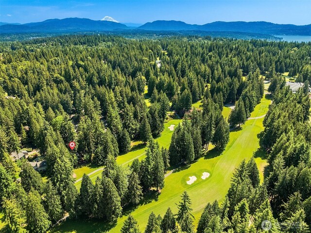 2911 216th Ave NE, Sammamish, WA 98074 - bird's eye view of a mountain backdrop and a forest