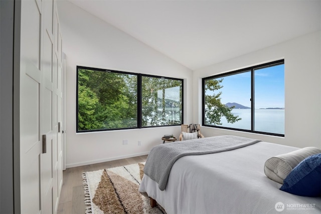 4869 Mercer Rd, Bow, WA 98232 - bedroom featuring vaulted ceiling, light wood-style flooring, and a water view