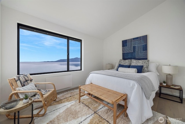 4869 Mercer Rd, Bow, WA 98232 - bedroom with vaulted ceiling and wood finished floors