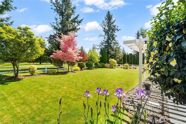 6888 Golf View Dr, Lynden, WA 98264 - view of yard