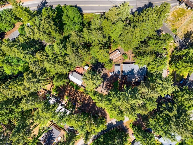60 E Olde Lyme Rd, Shelton, WA 98584 - bird's eye view