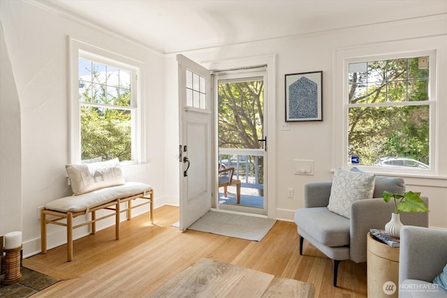 4828 38th Ave NE, Seattle, WA 98105 - doorway with light wood-type flooring, plenty of natural light, and baseboards