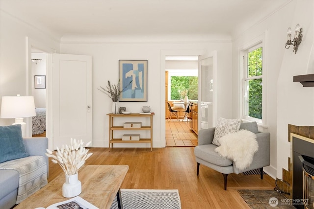 4828 38th Ave NE, Seattle, WA 98105 - living area featuring wood finished floors and a tiled fireplace