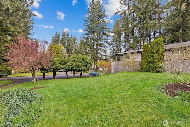 325 NE 178th St, Shoreline, WA 98155 - view of yard