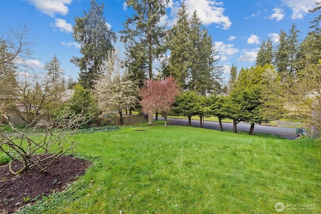 325 NE 178th St, Shoreline, WA 98155 - view of yard