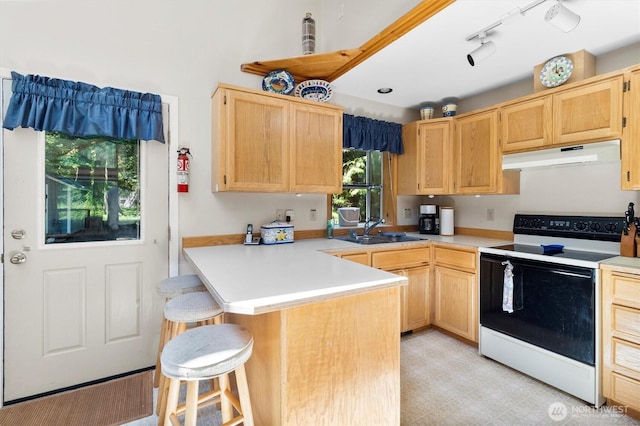 7101 Rainier Way, Glacier, WA 98244 - kitchen featuring range with electric cooktop, under cabinet range hood, a sink, light brown cabinetry, and a peninsula