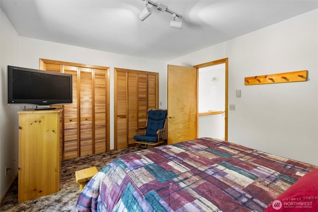 7101 Rainier Way, Glacier, WA 98244 - carpeted bedroom featuring multiple closets and track lighting
