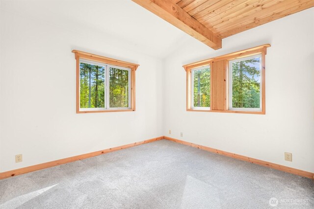 3542 Constitution Rd, Lummi Island, WA 98262 - carpeted spare room featuring baseboards and wooden ceiling