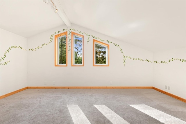 3542 Constitution Rd, Lummi Island, WA 98262 - bonus room featuring carpet flooring and baseboards
