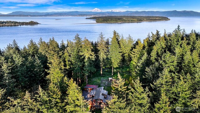3542 Constitution Rd, Lummi Island, WA 98262 - bird's eye view of a water and mountain view